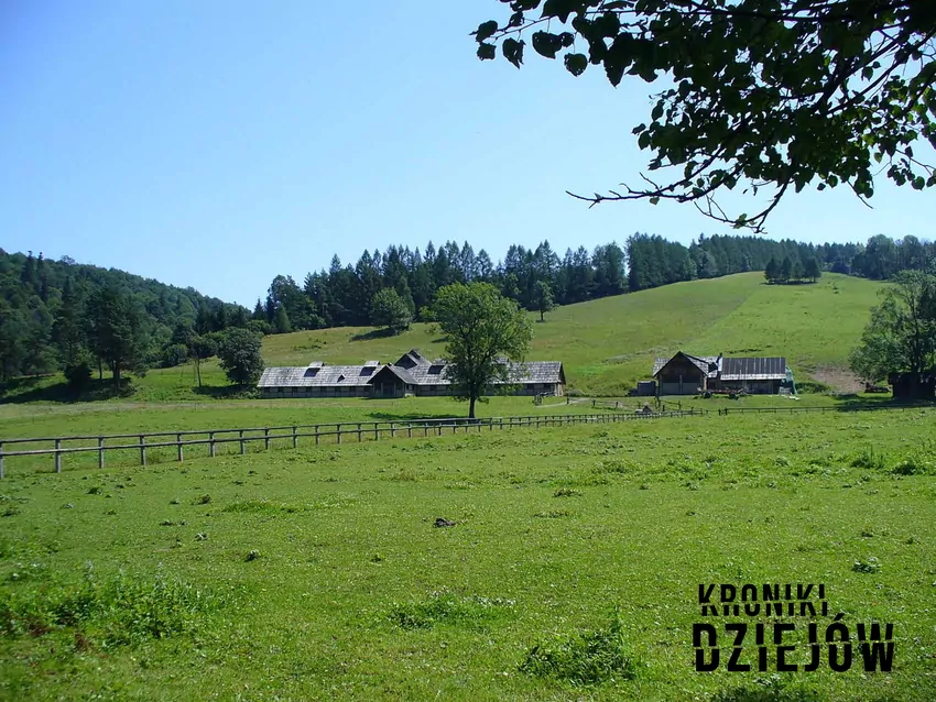 Stadnina koni w Wernejówce