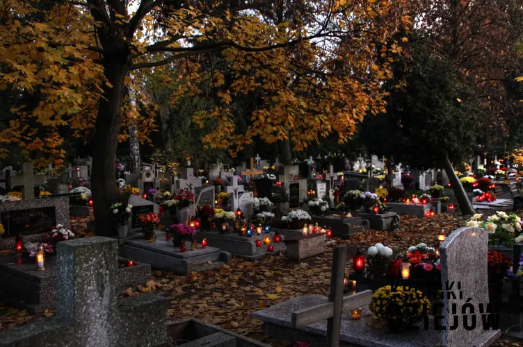 Cmentarz Osobowicki we Wrocławiu, na którym został pochowany Czesław Śliwa w 1971 roku oraz historia oszusta PRL, fot. Klearchos Kapoutsis, lic. domena publiczna