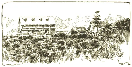 Plantacja kawy w Liberii 1898, a także wyjątkowa historia państwa na przestrzeni wieków