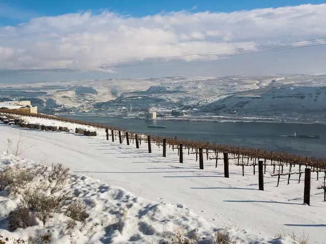 Rodzina Martinów zaginęła na wycieczce