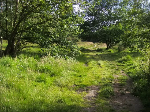 Wimbledon Common miejsce zbrodni Nickell