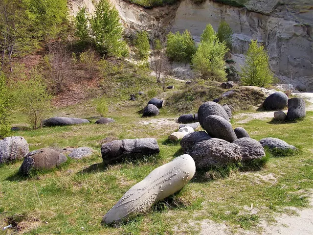 Żywe kamienie w Rumunii