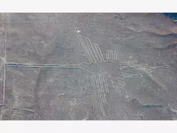 Ilustracja artykułu rysunki na płaskowyżu palpa i nazca w peru