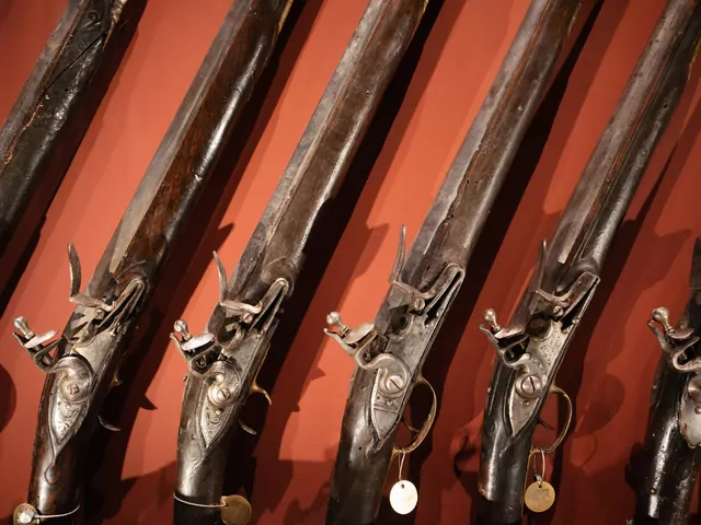 Historia czarnoprochowej broni palnej