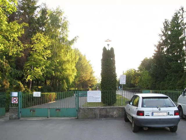 Paweł Tuchlin: dlaczego mordował młotkiem