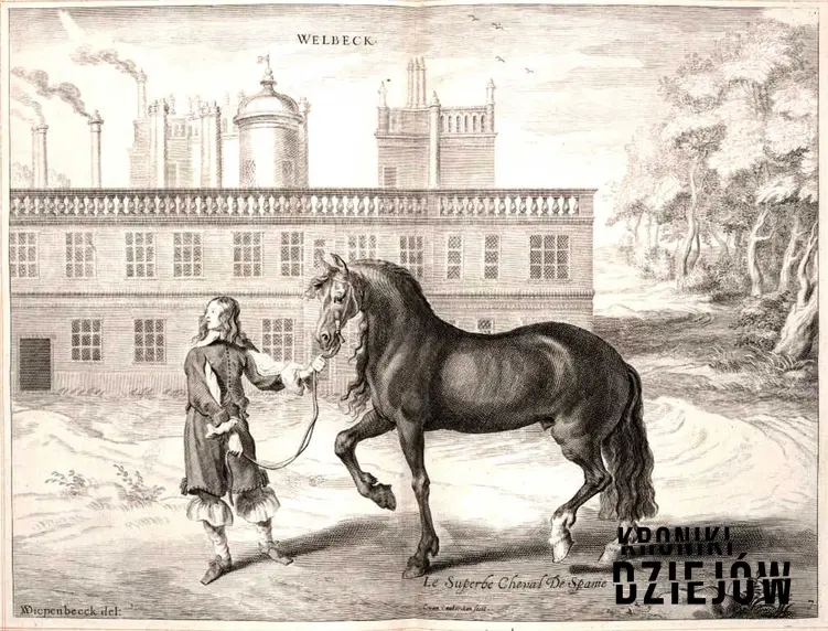 Koń andaluzyjski, podobny do koni husarskich, a także ich rasy, ceny oraz trening w wojsku