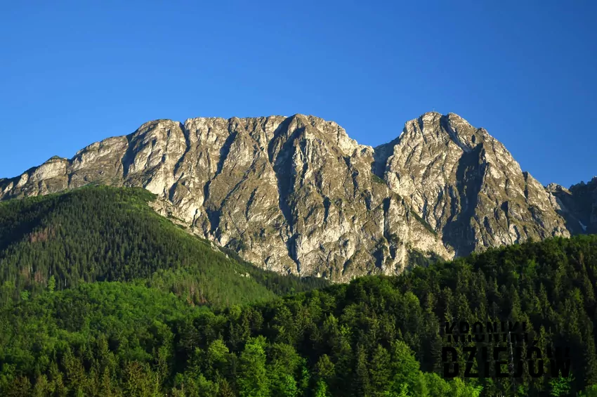 Giewont i Lasy Tatrzańskie