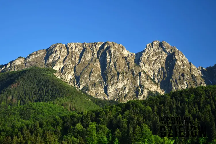 Widok na Giewont w Tatrach, a także Lasy Tatrzańskie krok po kroku, ich historia i ciekawostki