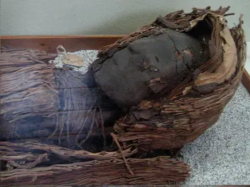 Ilustracja artykułu najsłynniejsze mumie świata - od faraonów po rudowłosych mieszkańców północnych chin