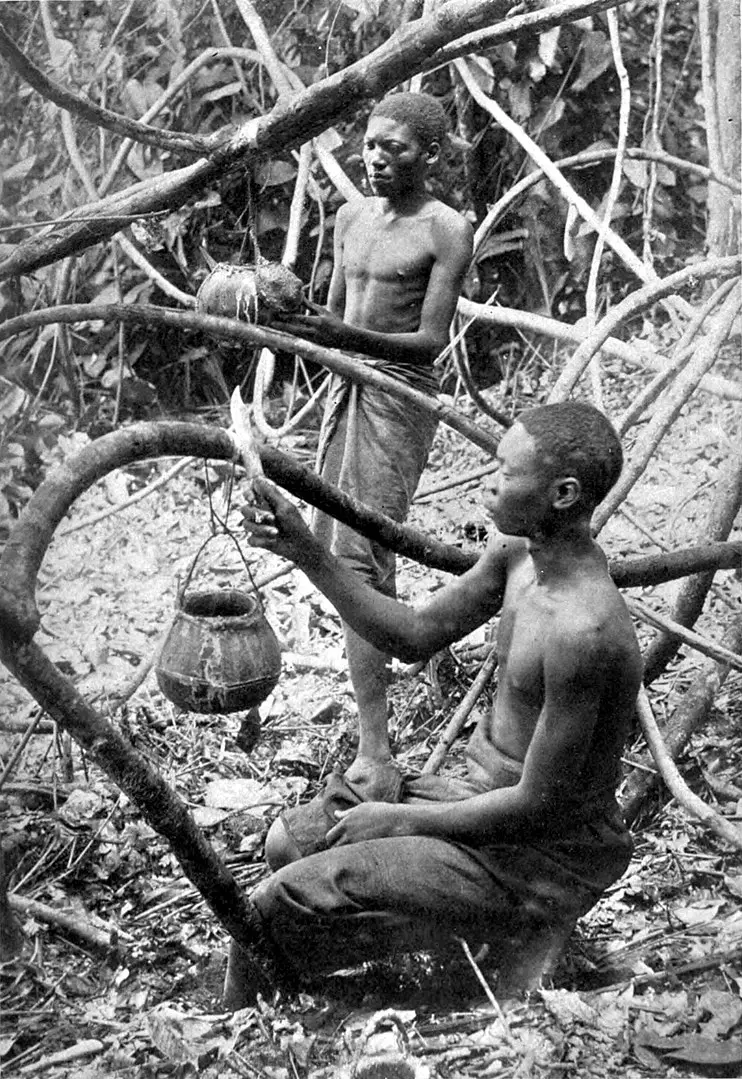 Czarnoskórzy mężczyźni zbierający kauczuk w lesie, eksploatacja złóż kauczuku w Kongo, okrutne rządy Leopolda II w Kongo