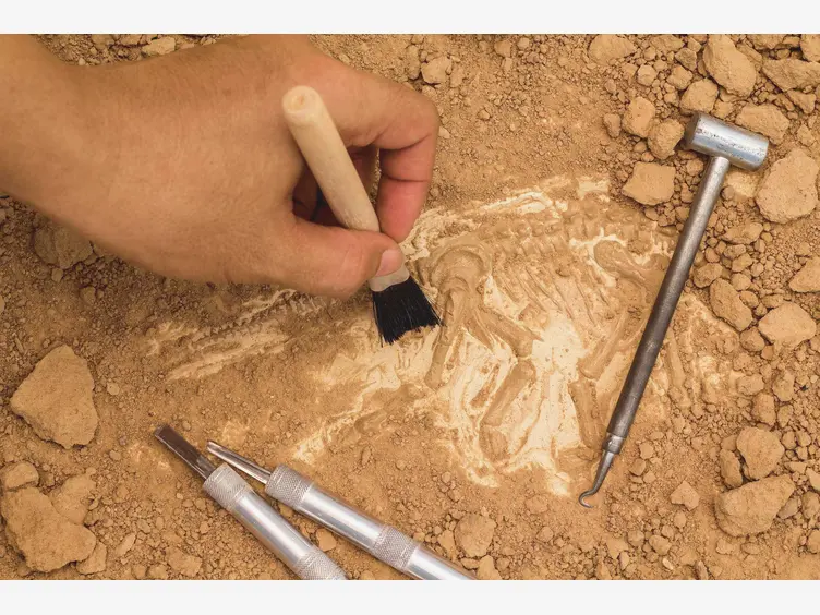 Ilustracja artykułu to niesamowite znalezisko archeolodzy odkryli podczas budowy dróg w polsce!