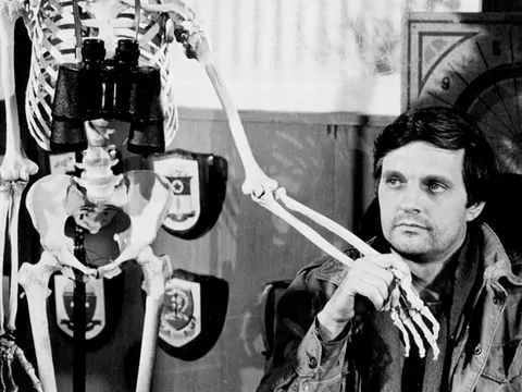 Alan Alda - życiorys i kariera