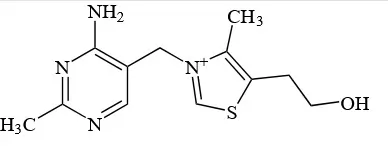 Kazimierz Funk jako pierwszy na świecie wyodrębnił witaminę B1 Kazimierz Funk i jego historia, pochodzenie, działalność, odkyrcia i ich rola w medycynie