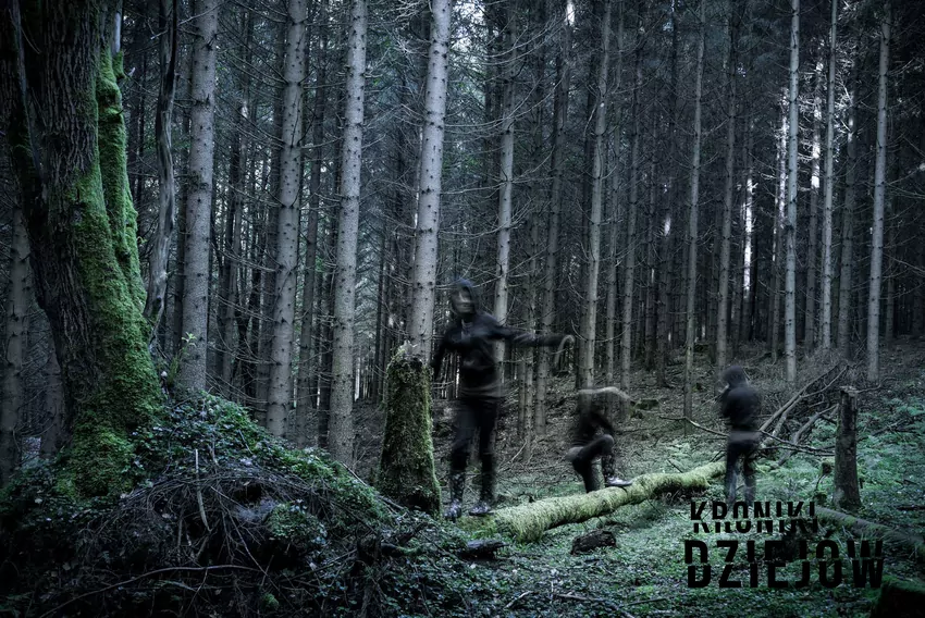 W witkowickim lesie w niewyjaśnionych okolicznościach zaginęło 9 osób Las w Witkowicach, czyli polski Blair Witch Project, oraz legenda lasu w Witkowicach oraz fakty i potwierdzone zbrodnie