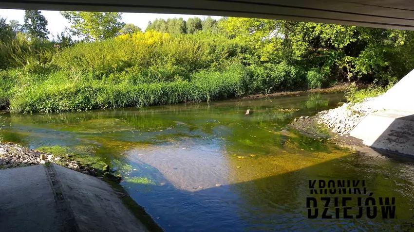 Ujście Dobrzynki do Neru Zanieczyszczenie rzek w PRLu, czyli problem zanieczyszczeń w czasach powojennych, najważniejsze informacje