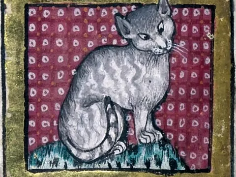 Czworonożne narzędzia diabła i ofiary makabrycznych praktyk. W średniowieczu koty nie miały łatwego życia