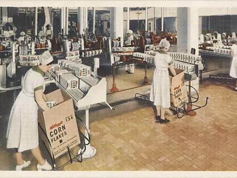 Historia braci Kellog