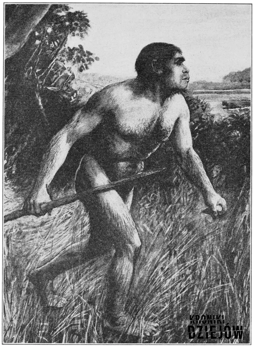 Wyobrażenie „człowieka z Piltdown”, autor nieznany, fot. domena publiczna/Wikipedia Człowiek z Piltdon