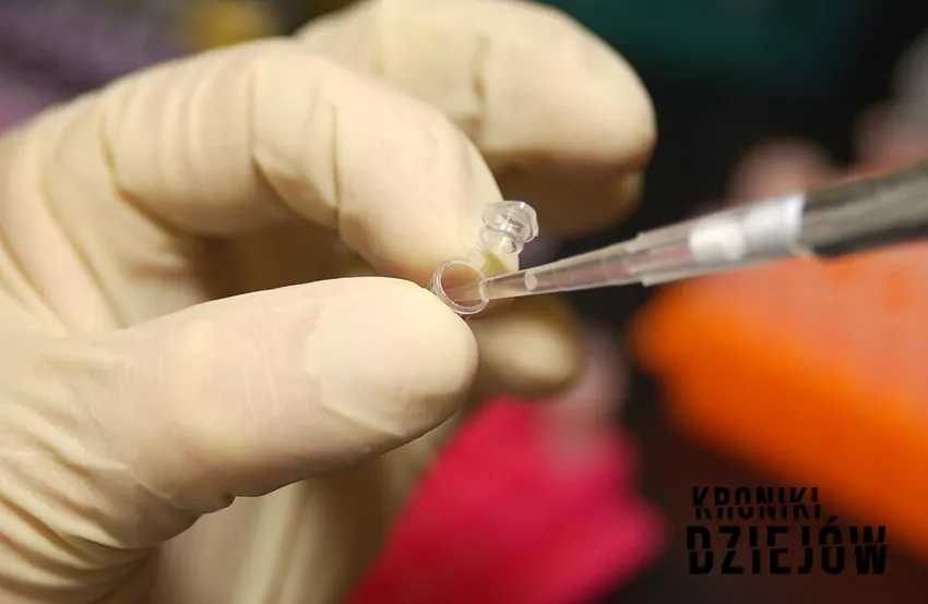 Testy DNA - w latach 90. w powijakach, dziś symbol nowoczesnej technologii testy DNA