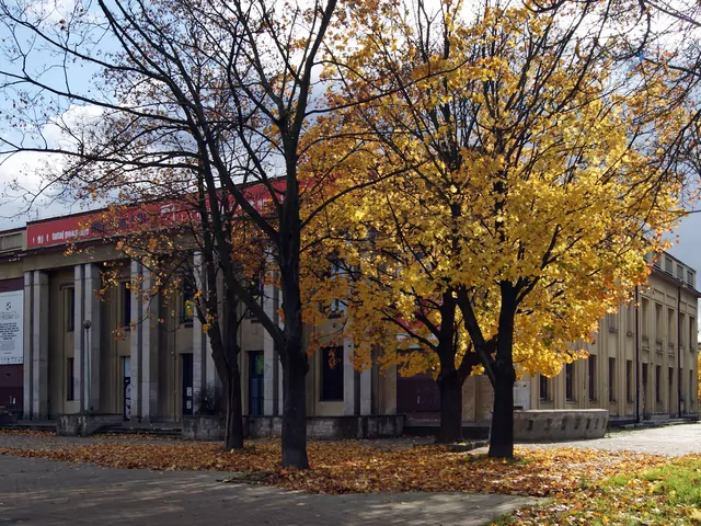 Podziemny Kraków - tunele i piwnicu