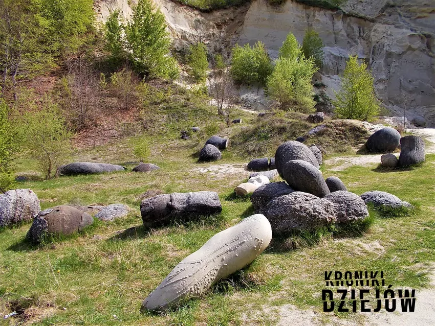 Żywe kamienie w Rumunii