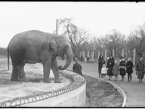 Los zwierząt z warszawskiego ZOO