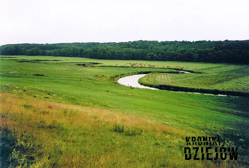 W Tollense znaleziono kość ludzką przebitą krzemiennym grotem, Dolina Tollense zwana Dolenicą lub Dolężą, Niemiecka dolina Tollense jako dawny ośrodek cywilizacji