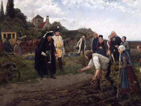 Nie zawsze był swojski. Skąd się wziął ziemniak na polskim stole?