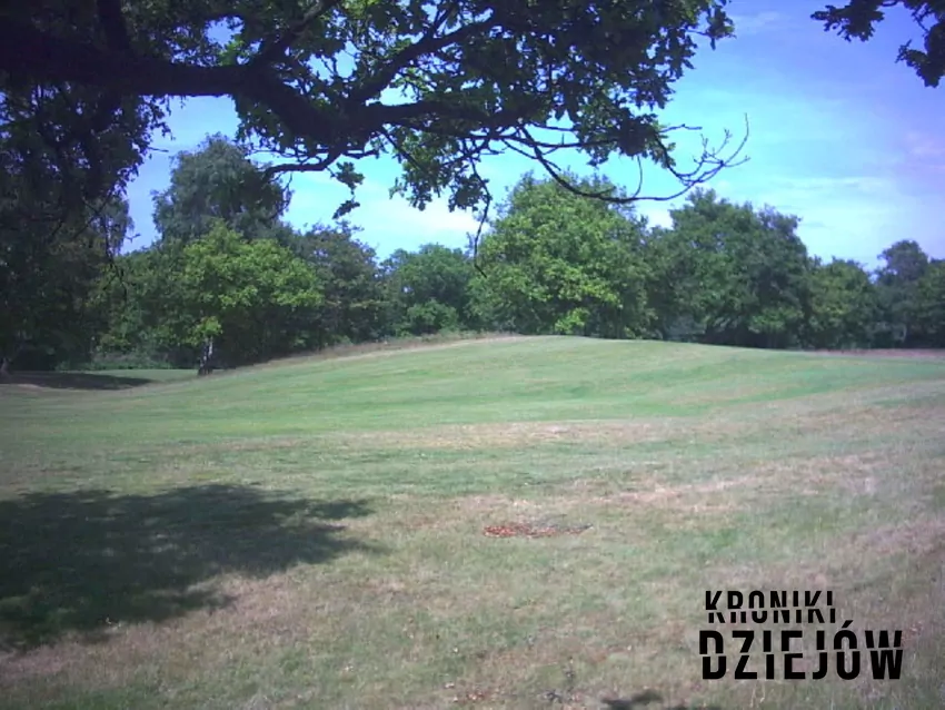 Wimbledon Common