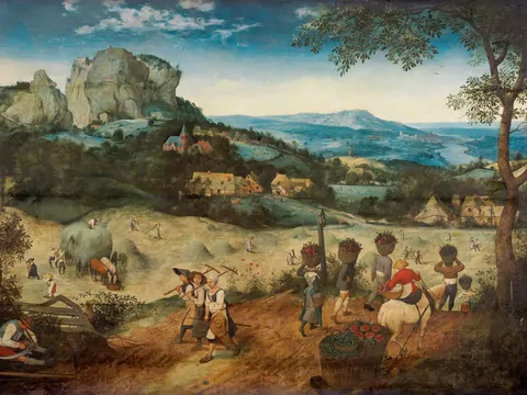 Piekielne lato 1540. Susza tysiąclecia i najlepszy rocznik wina