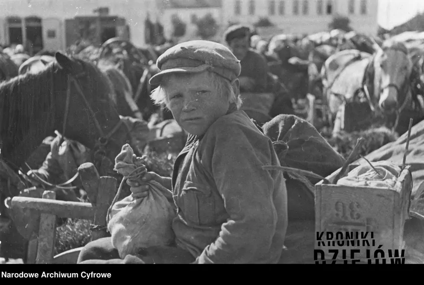 Dziecko na targu, pilnujące wozu z koniem, fot. domena publiczna/Narodowe Archiwum Cyfrowe Dziecko na targu siedzące na wozie