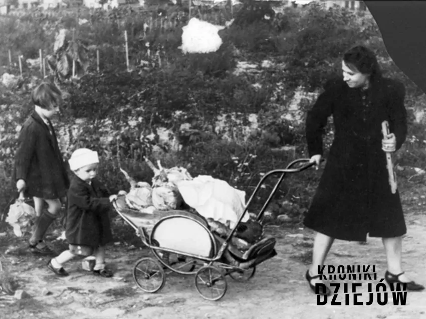 Warzywa wyhodowane na działce, zdjęcie z 1942 roku, fot. domena publiczna Kobieta ciągnąca wózek z warzywami