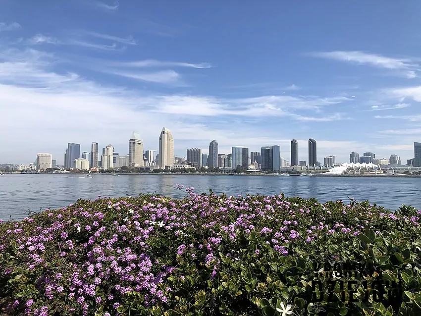San Diego - to tu Dan Broderick odniósł sukces. I tu doszło do zbrodni San Diego