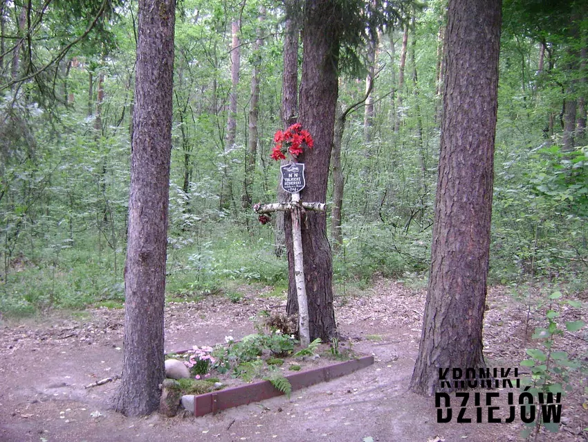 Top 7 współczesnych piosenek patriotycznych