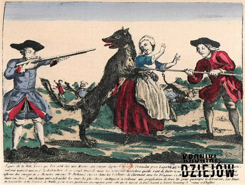 Ilustracja przedstawiająca osaczoną bestię - fot. domena publiczna Złapanie bestii z Gévaudan, a także historia tajemniczego stwora, zbrodnie, opis zdarzeń, śledztwo