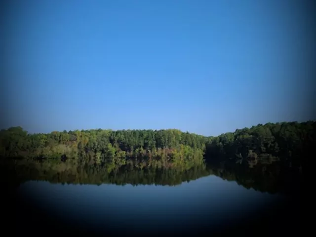 Morderstwo synów Susan Smith