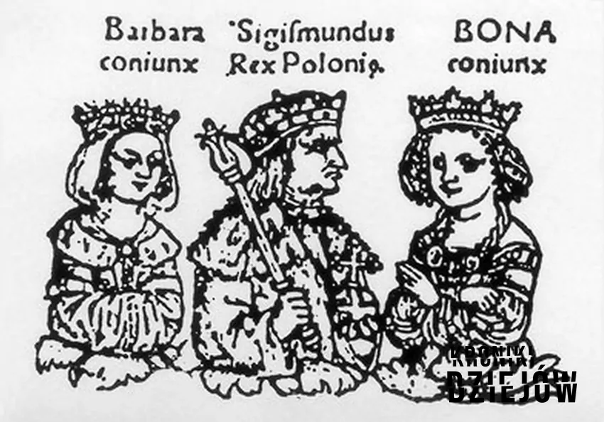 Barbara Zapolya z mężem Zygmuntem I i jego drugą żoną Boną Sforzą (drzewo genealogiczne Jagiellonów w De vetustatibus Polonorum), fot. domena publiczna/Wikipedia Barbara Zapolya z mężem Zygmuntem I i jego drugą żoną Boną Sforzą (drzewo genealogiczne Jagiellonów w De vetustatibus Polonorum)