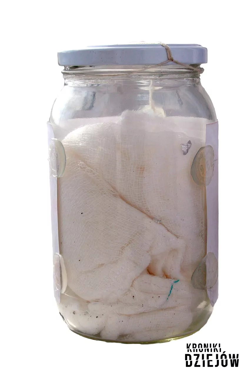 Osmologia to ważna technika kryminalistyczna. Znaczenie miała także w sprawie Ultimo próbka zapachu