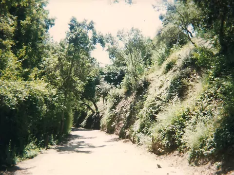 Historia Susan Atkins