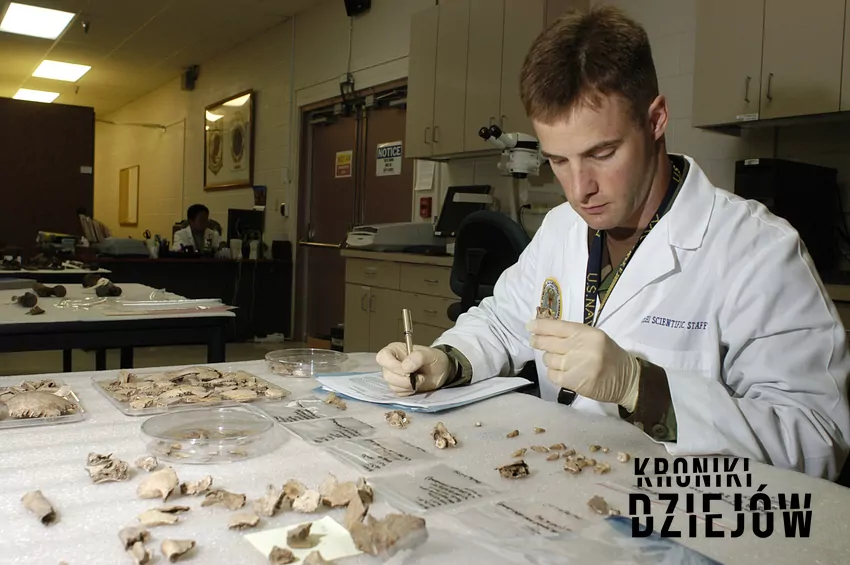 Odontolog sądowy przy pracy odontolog