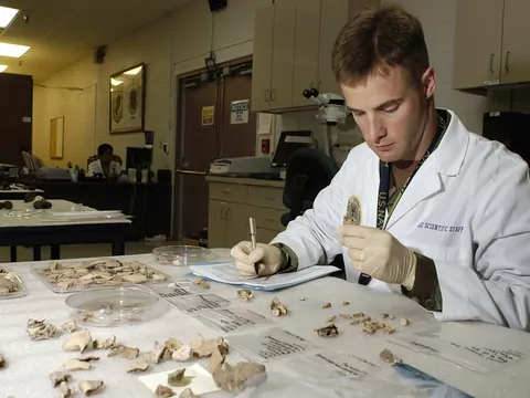 Morderstwo Karli Brown