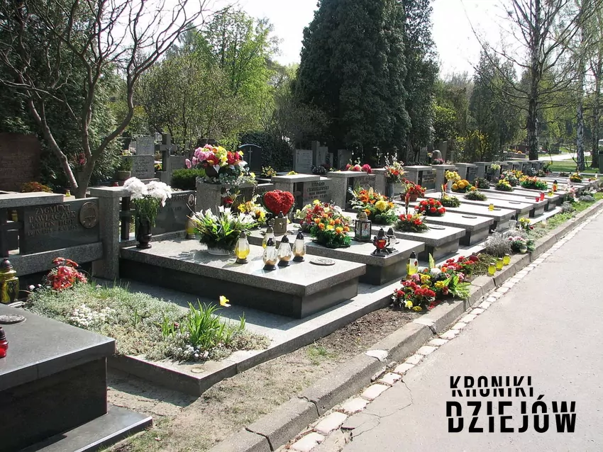 Groby załogi samolotu na cmentarzu Wojskowym na Powązkach - fot. domena publiczna Las Kabacki, czyli miejsce katastrofy lotniczek samolotu pasażerskiego, czyli wypadek w Lesie Kabackim