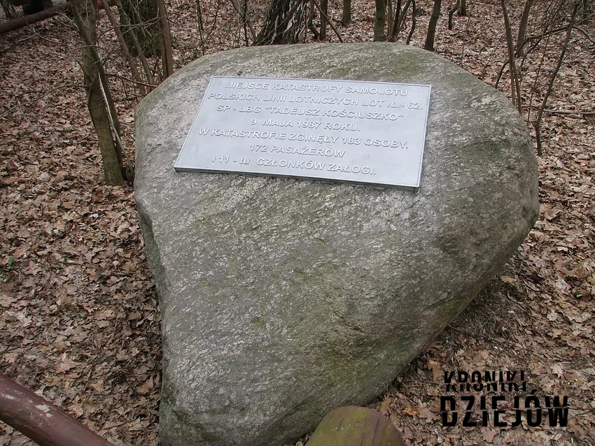 Pamiątkowy głaz z tabliczką w Lesie Kabackim - fot. domena publiczna Katastrofa w lesie Kabackim, czyli lotnicza katastroda i wypadek samolotu pasażerskiego