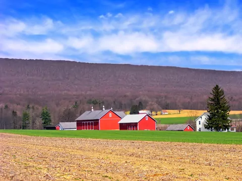 Historia morderstwa Joann Katrinak i Alexa
