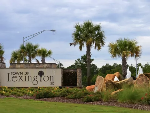 Historia Kary Robinson