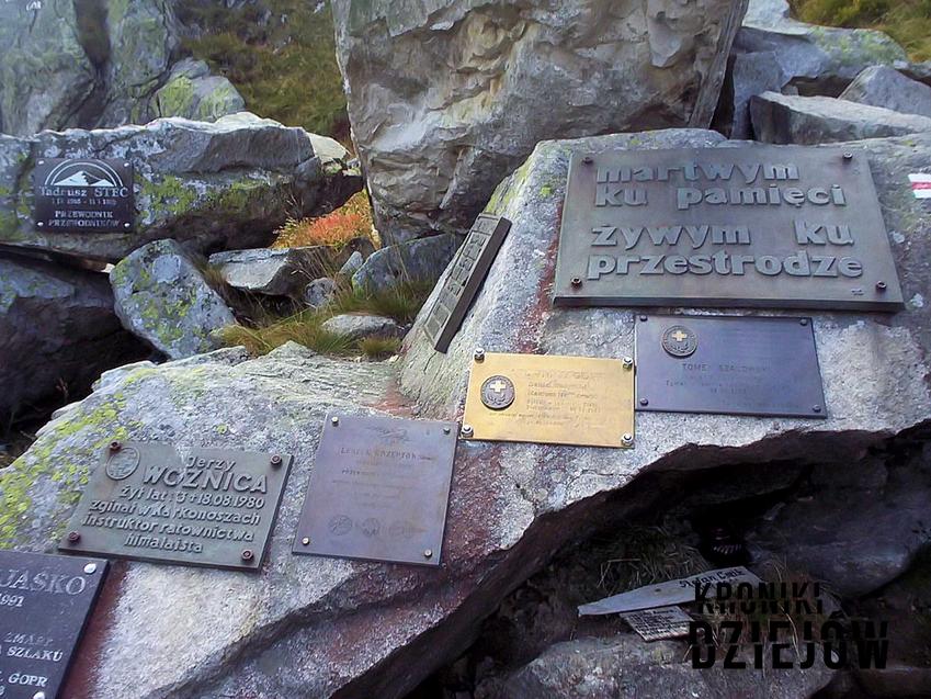 Tadeusz Steć i okoliczności jego śmierci w górach, najważniejsze informacje, wydarzenia, akcja poszukiwawcza