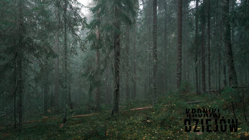 Ciało Tove znaleziono w gęstym lesie 10 km od centrum Vetlanda - historia krwawej przyjaźni