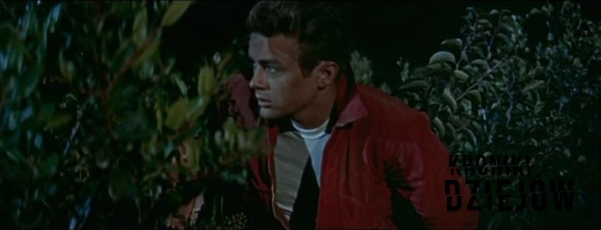 Kadr z filmu Buntownik bez powodu, w którym zagrał James Dean, a także życiorys i tragiczny finał życia
