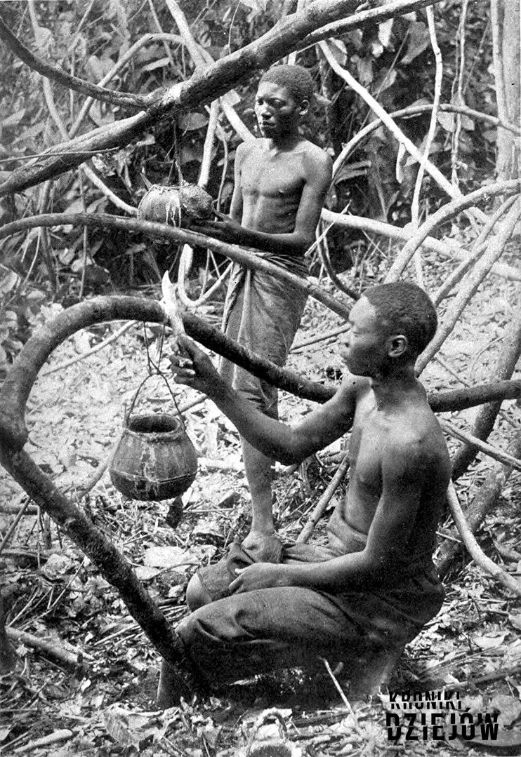 Czarnoskórzy mężczyźni zbierający kauczuk w lesie, eksploatacja złóż kauczuku w Kongo, okrutne rządy Leopolda II w Kongo
