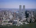 Tania Head - oszustwo "na World Trade Center"